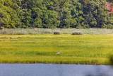14 Ellen Lane - Photo 55