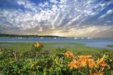 29 Summerwind Lane - Photo 85