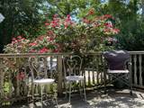 17 Shore Road - Photo 5