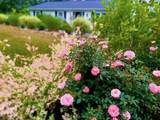 25 Frances Helen Road - Photo 48