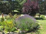 53 Highland Road - Photo 33