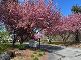 84 Court Way - Photo 26