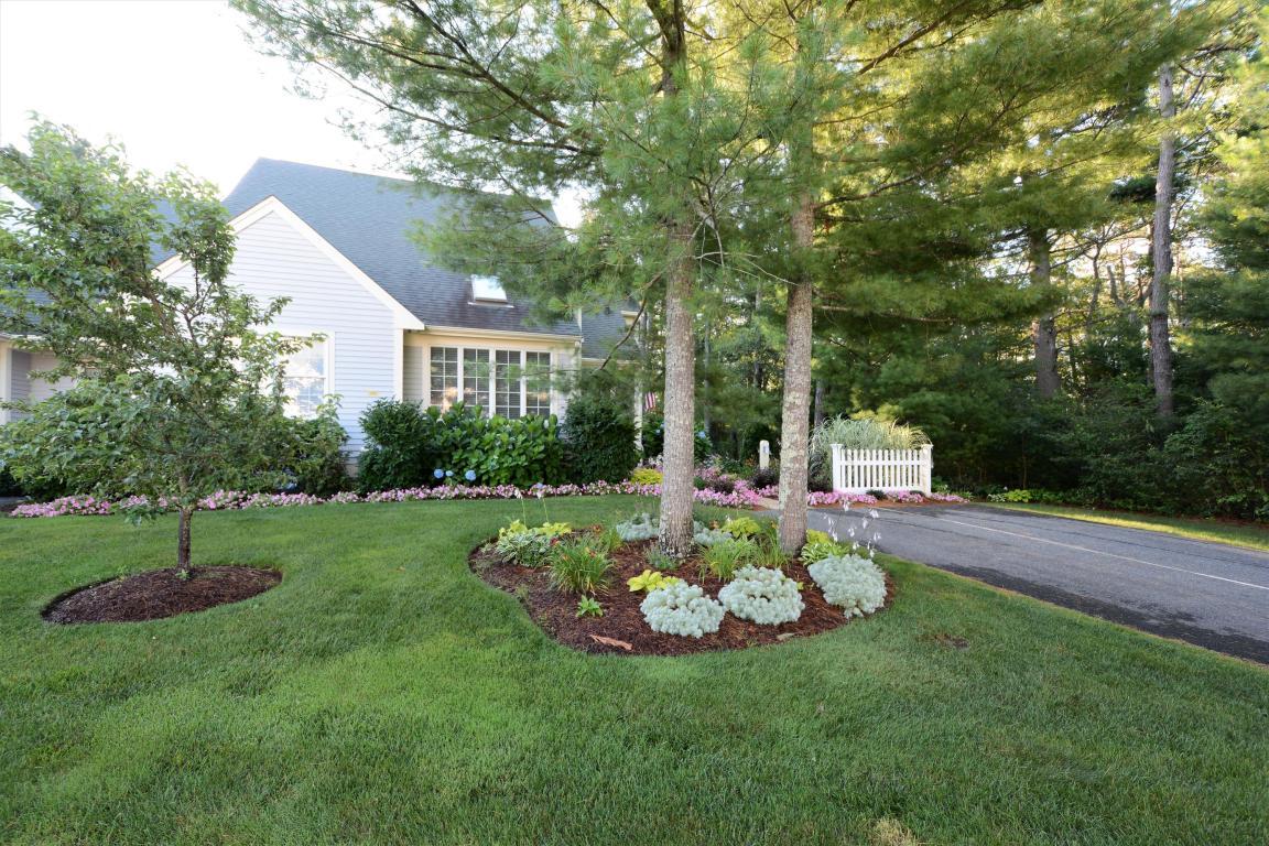 80 Gold Leaf Lane - Photo 1