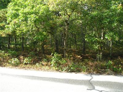 0 Greenland Pond Road - Photo 1