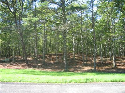 91-Lot-9 Sisters Circle - Photo 1