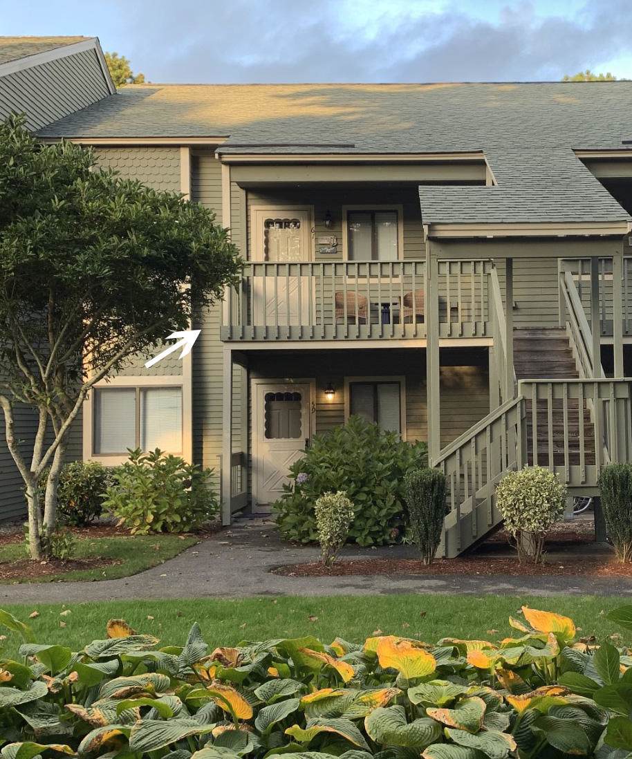 61 Eaton Lane - Photo 1