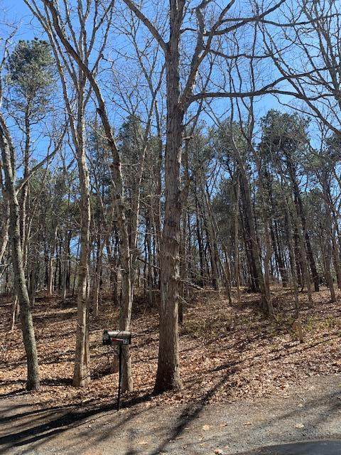 65 Herring River Road - Photo 1