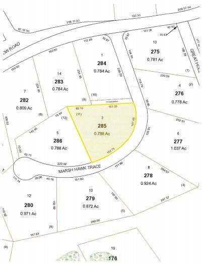 3 Marsh Hawk Trace - Photo 1