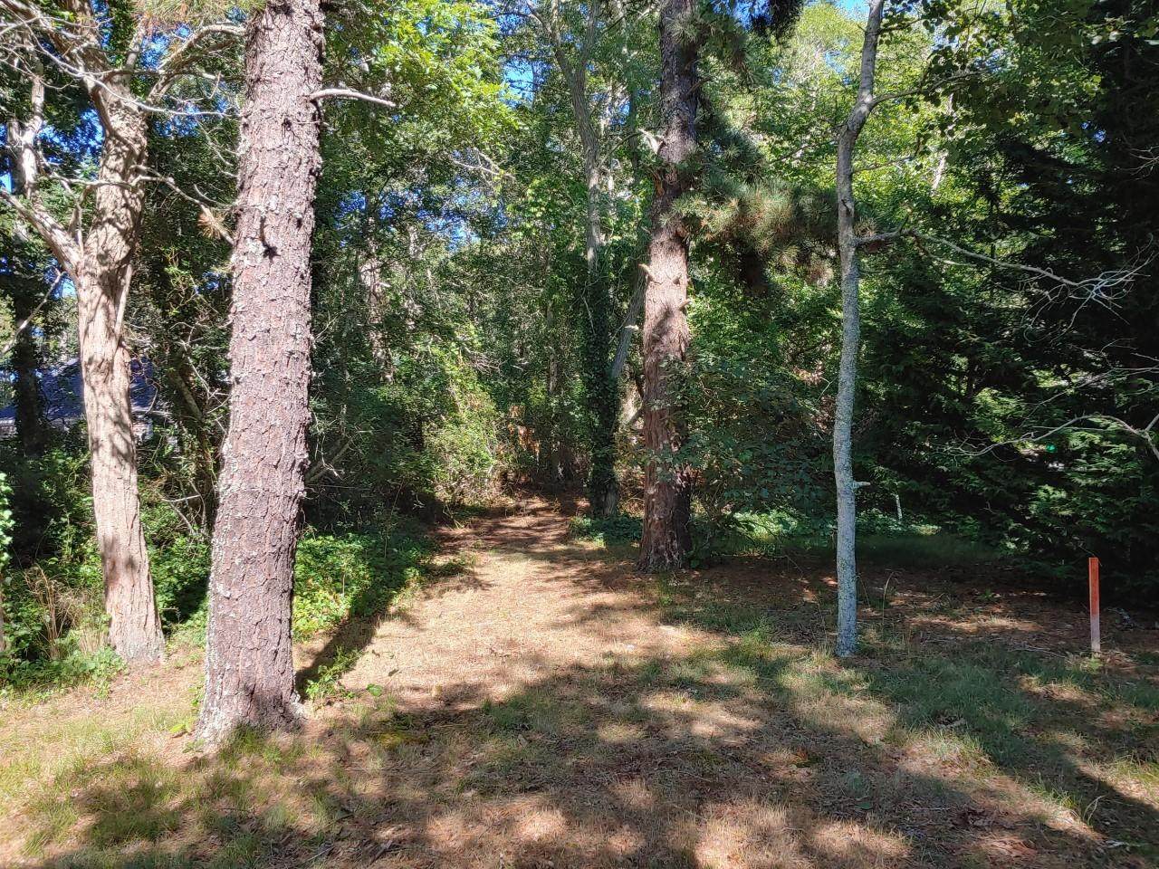 5530 State Highway - Photo 1