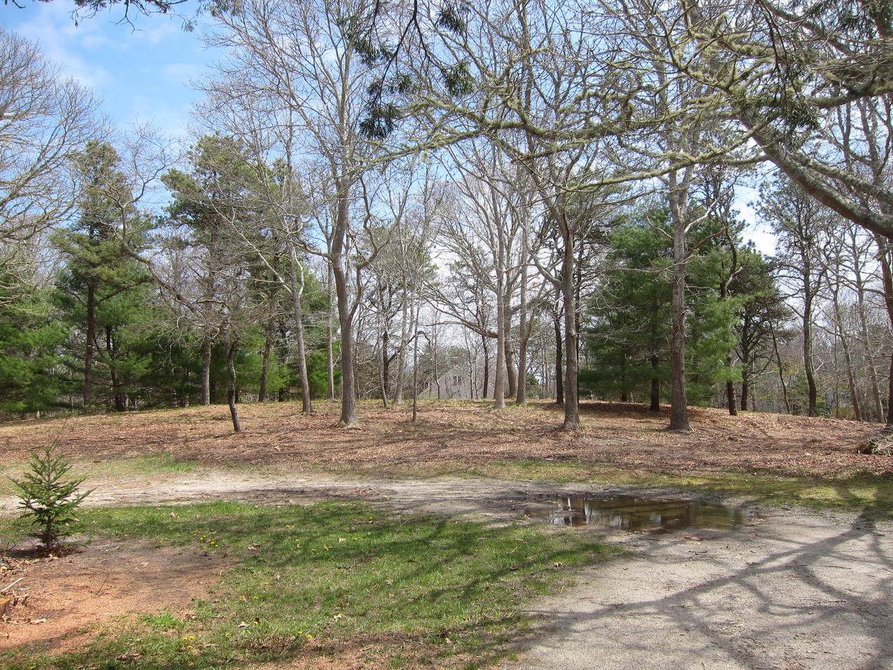 41 Jack Knife Point Road - Photo 1