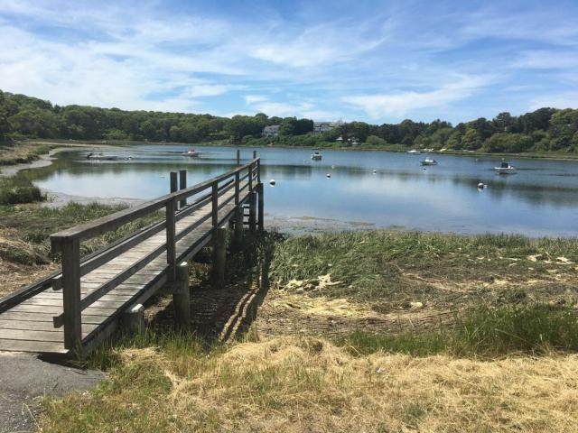 0 Taylors Pond Road - Photo 1
