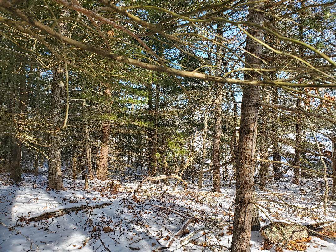 0 Clearwater Drive - Photo 1