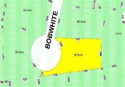 3 Bobwhite Lane - Photo 1