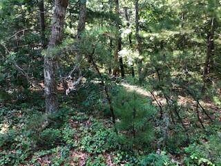 0 Evelyns Drive - Photo 1