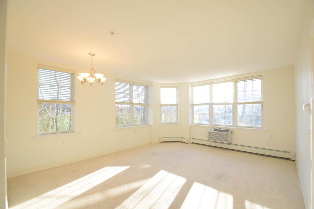 100 Alden Street - Photo 1
