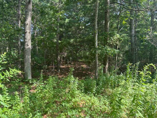 9 Estrella Lane - Photo 1