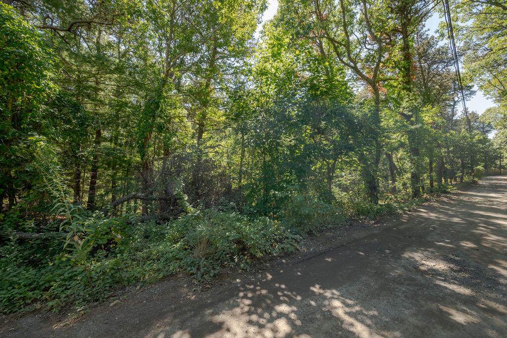 40 Old Long Pond Road - Photo 1