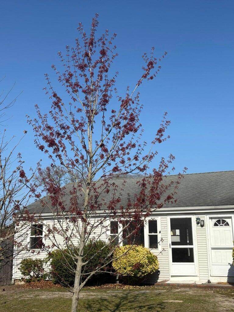 4 Summer Street - Photo 1