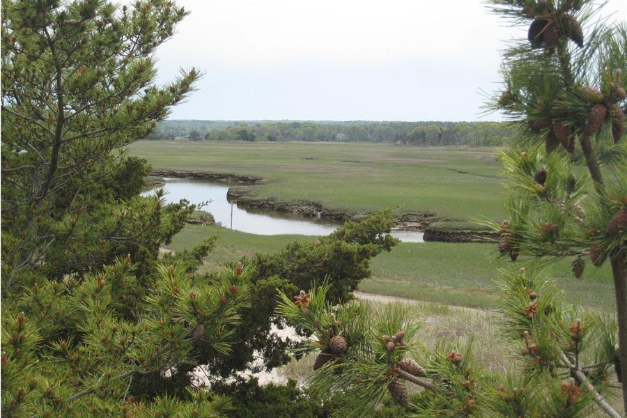 174 Shore Boulevard - Photo 1