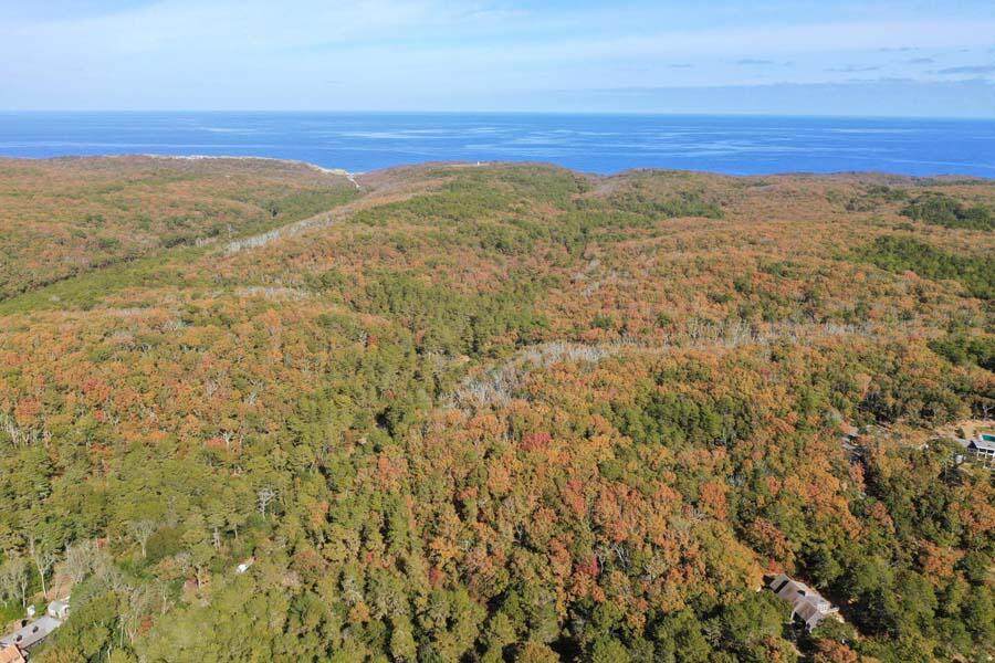 35A Higgins Hollow Road - Photo 1