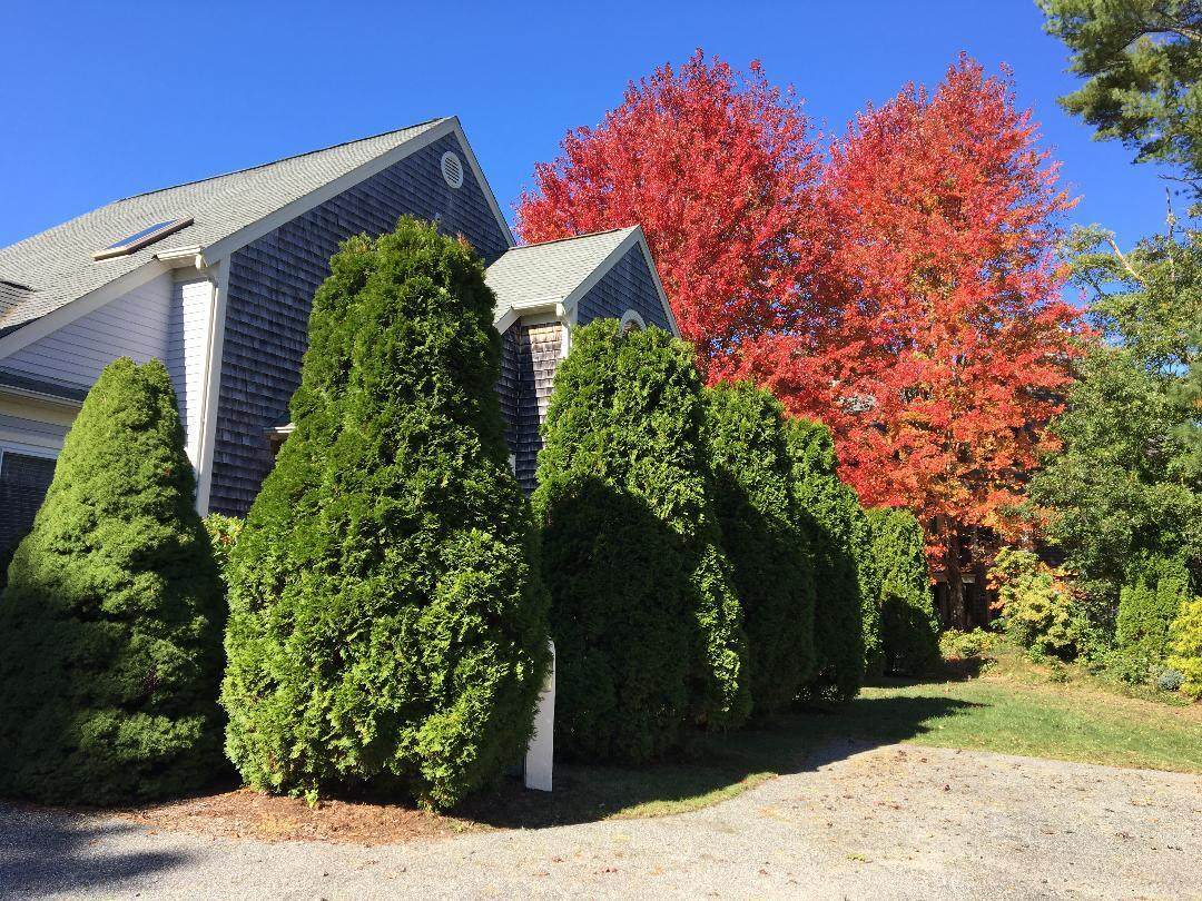 75 Blue Spruce Way - Photo 1