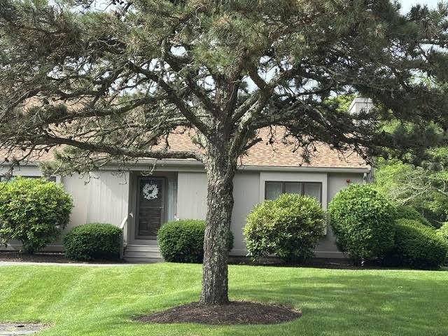 481 Buck Island Road - Photo 1