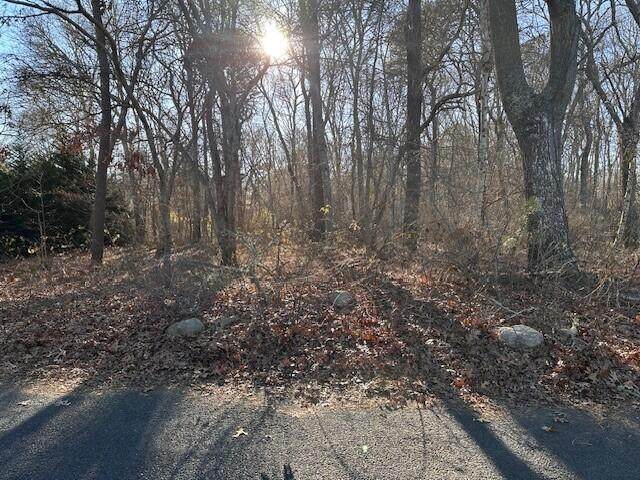 https://bt-photos.global.ssl.fastly.net/capecod/orig_boomver_3_22604085-2.jpg