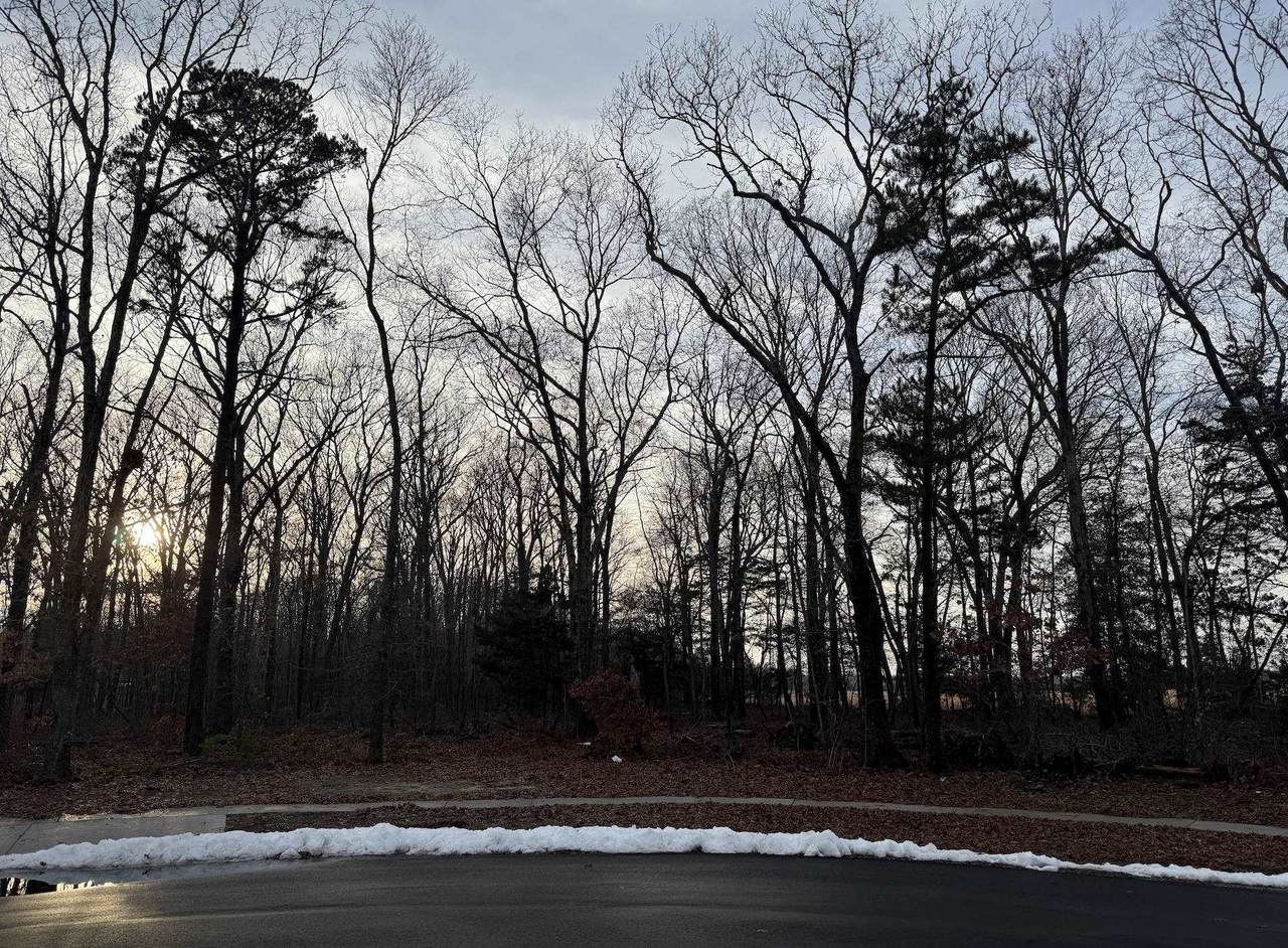https://bt-photos.global.ssl.fastly.net/capemay/1280_boomver_1_250437-2.jpg