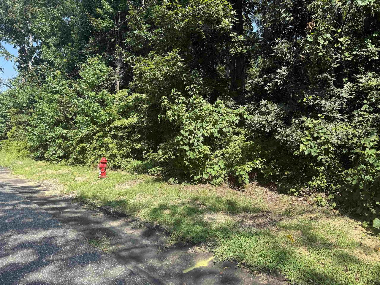 2 Shawmount Avenue - Photo 1