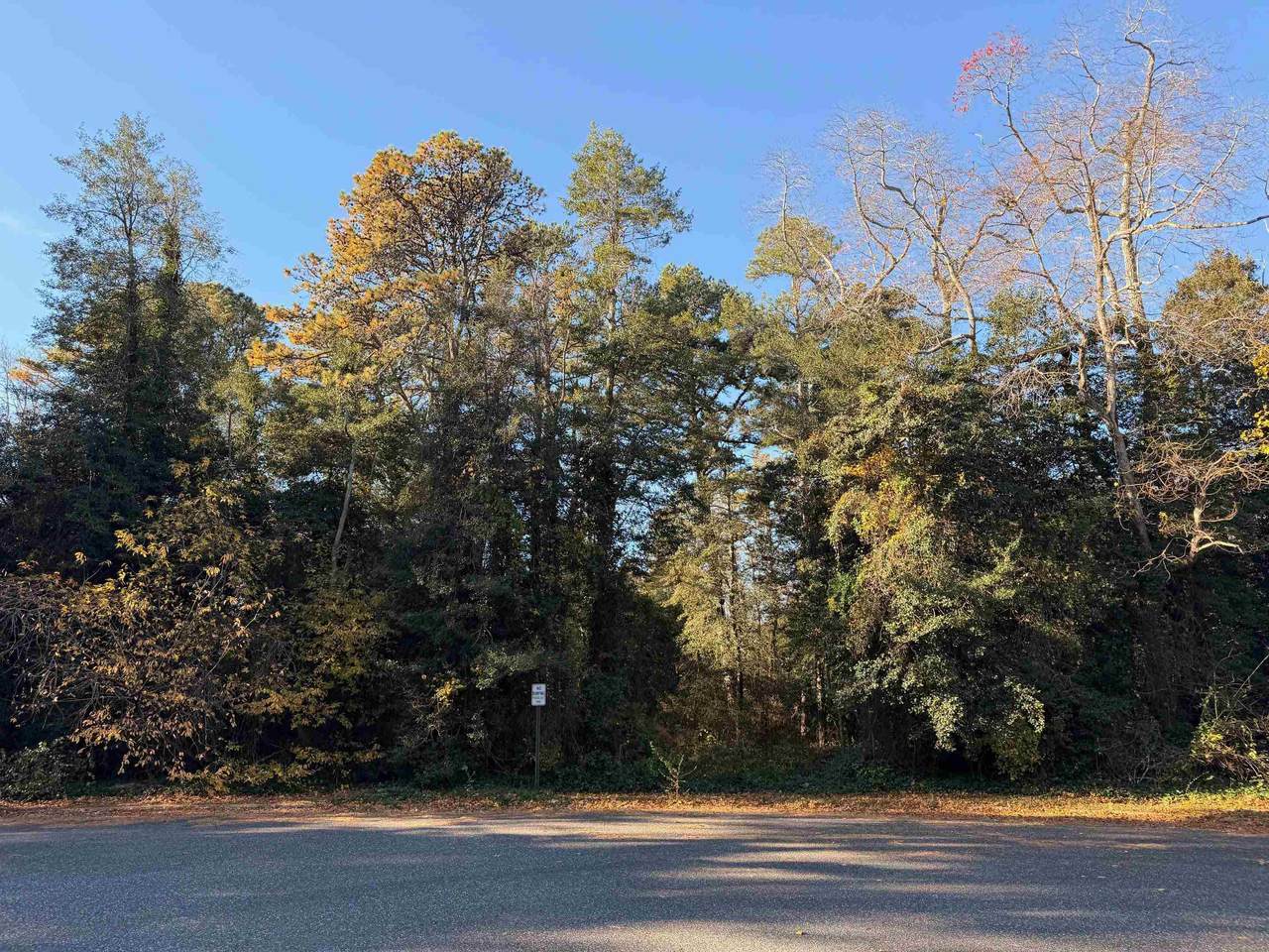 24 Timber Drive - Photo 1