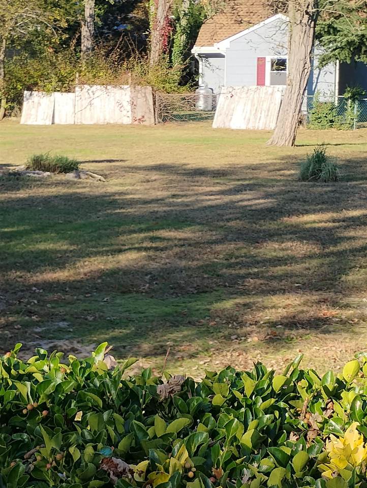 19 Wilde Avenue - Photo 1