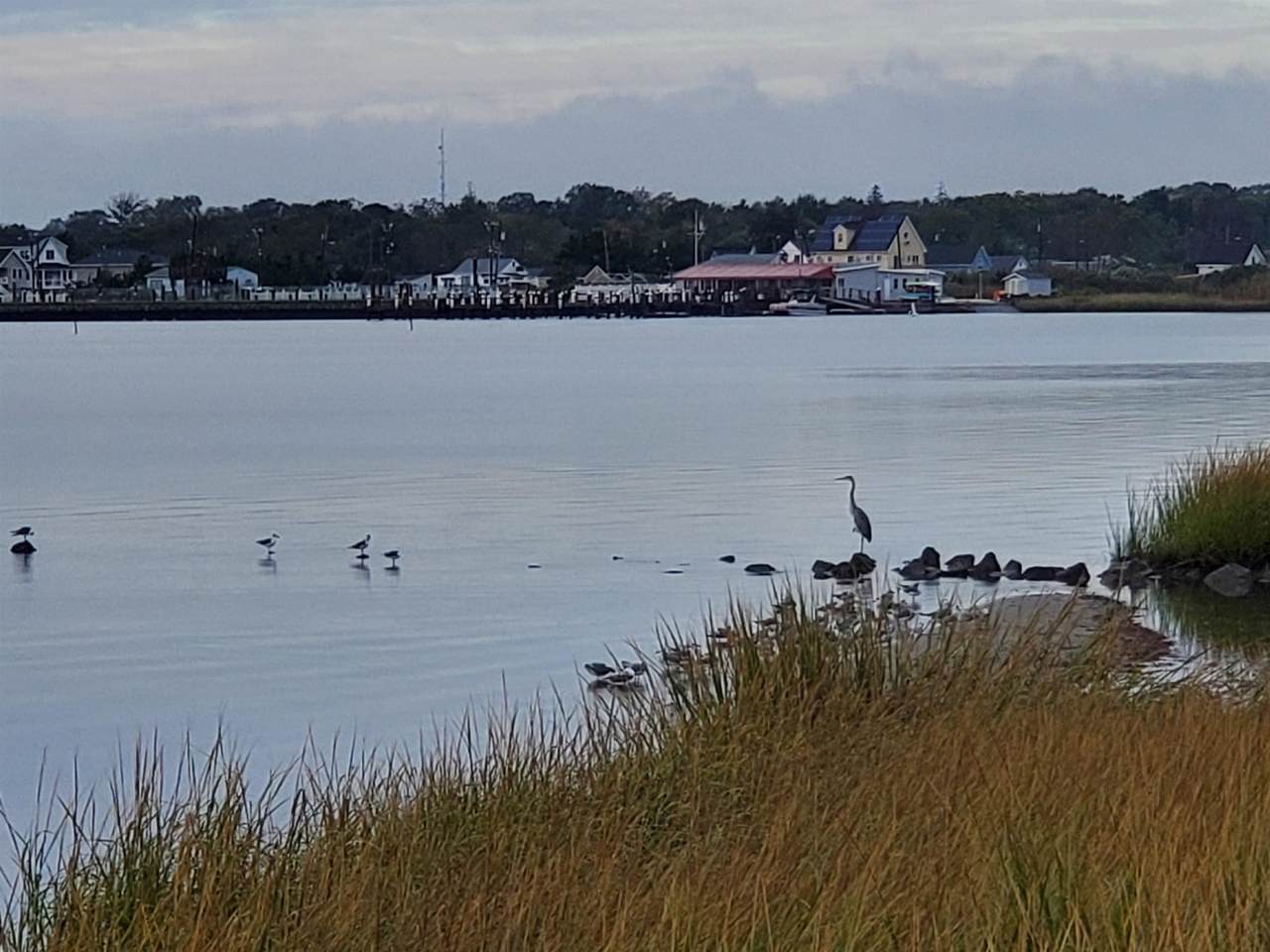 https://bt-photos.global.ssl.fastly.net/capemay/1280_boomver_1_260666-2.jpg