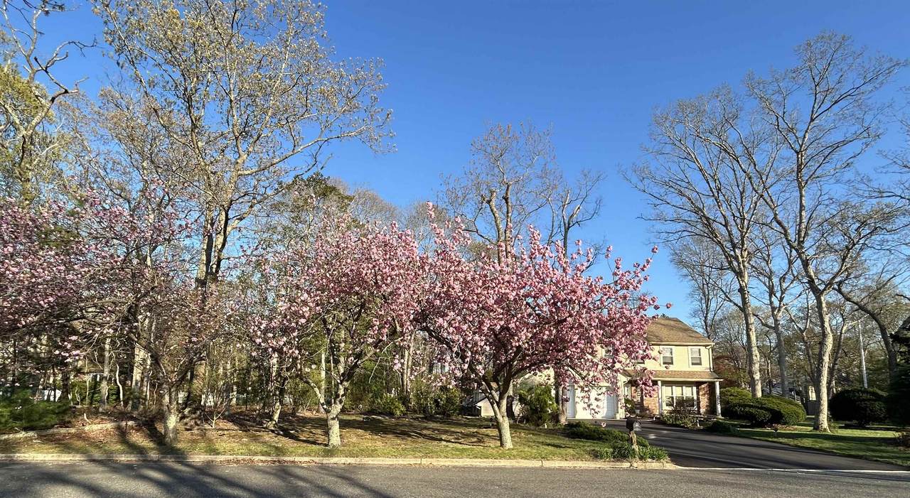 https://bt-photos.global.ssl.fastly.net/capemay/1280_boomver_1_261061-2.jpg