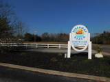 43 Route 47 North - Photo 20