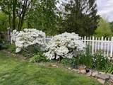130 Bridgeton Pike - Photo 35