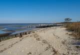 147 Beach Avenue - Photo 38
