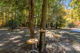 4 Mockingbird Lane - Photo 36