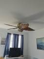 101 Cresse Avenue - Photo 12