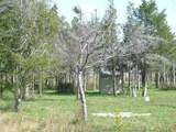 530 Stone Harbor Boulevard - Photo 7