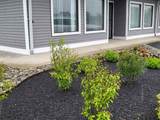 1121 Route 47 South - Photo 1