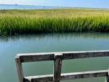 75 Boardwalk - Photo 10