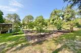 682 Dias Creek Road - Photo 29