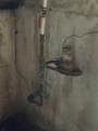 901 Franklin Street - Photo 20