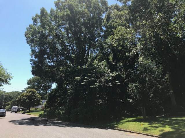 976 Shirley - Photo 1