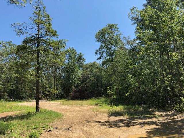 519 Petersburg Road - Photo 1
