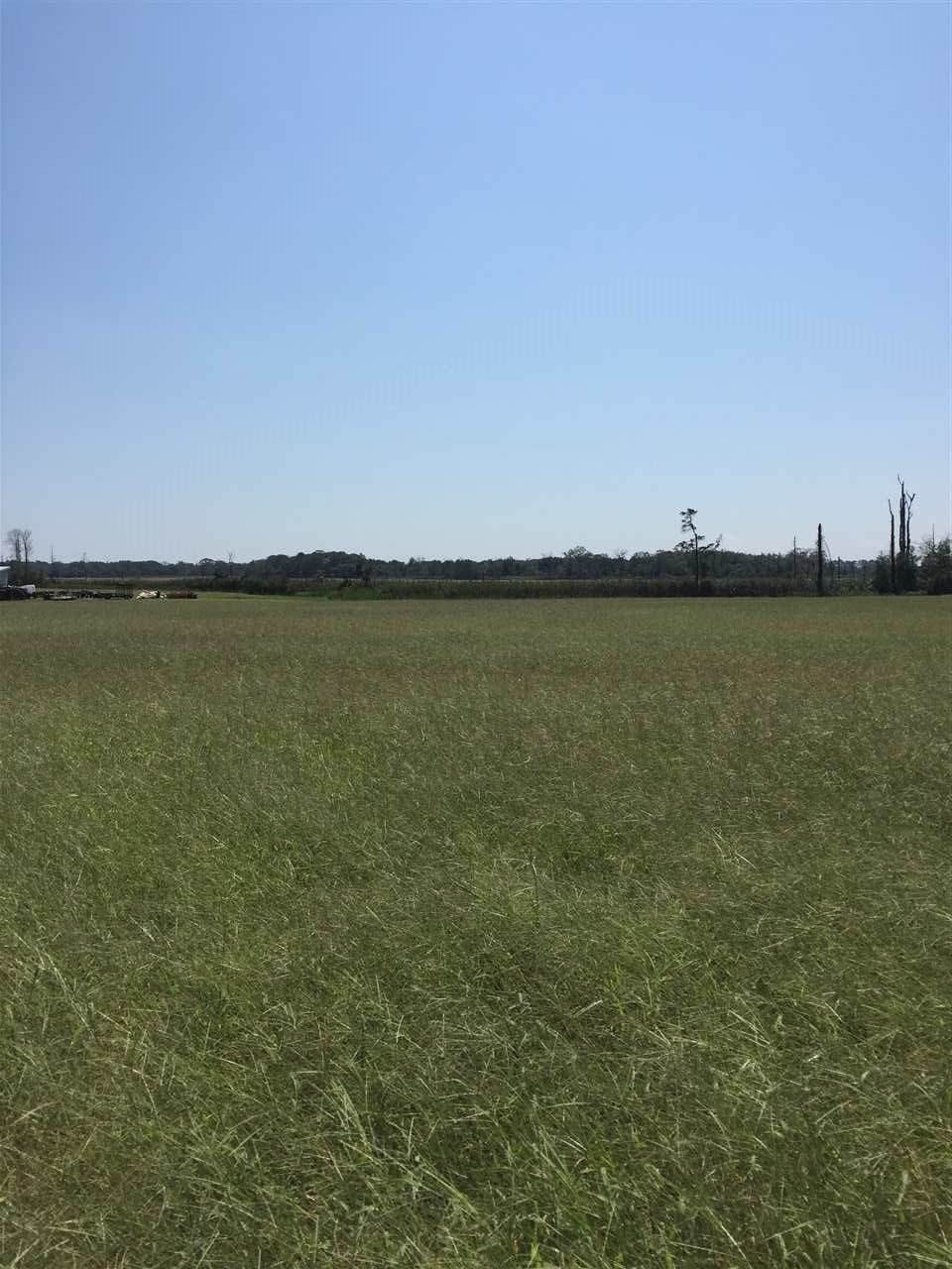 41 Goshen Landing Road - Photo 1