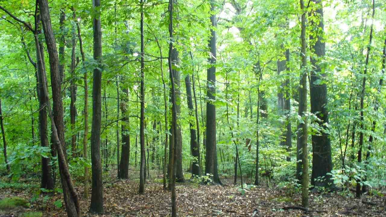 83 Beaver Drive - Photo 1