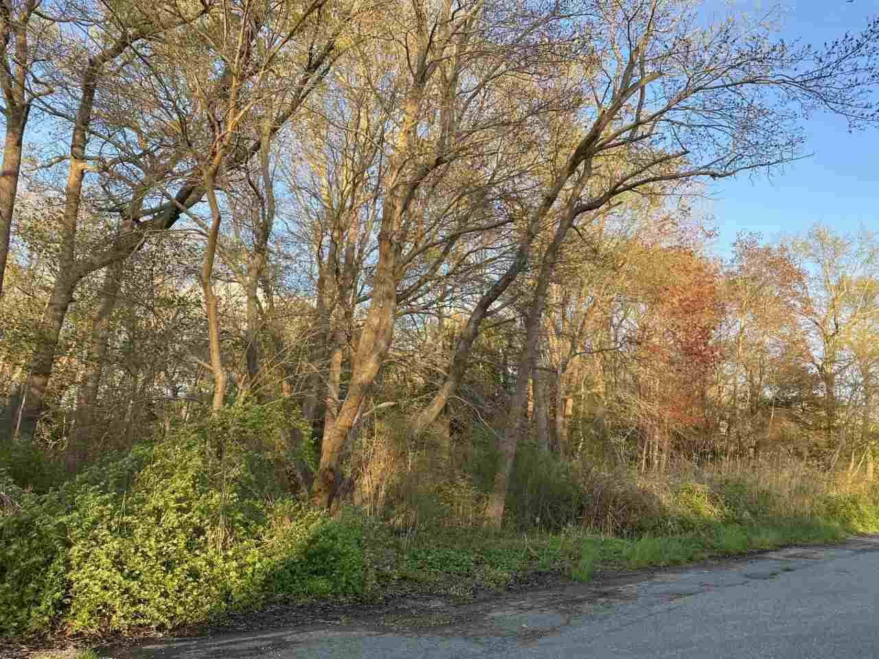 961 Fay - Photo 1