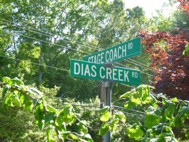000 Dias Creek - Photo 1
