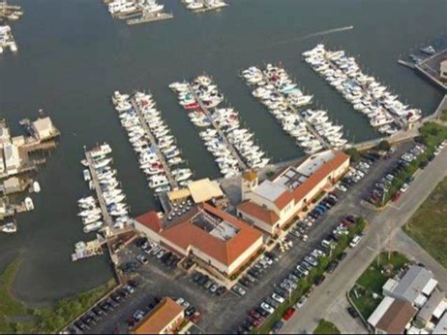 5100 Shawcrest Road - Photo 1